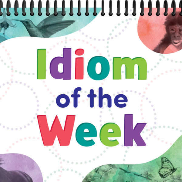 Idiom of the Week