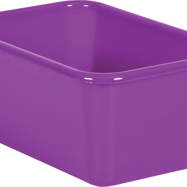 Purple Small Plastic Storage Bin