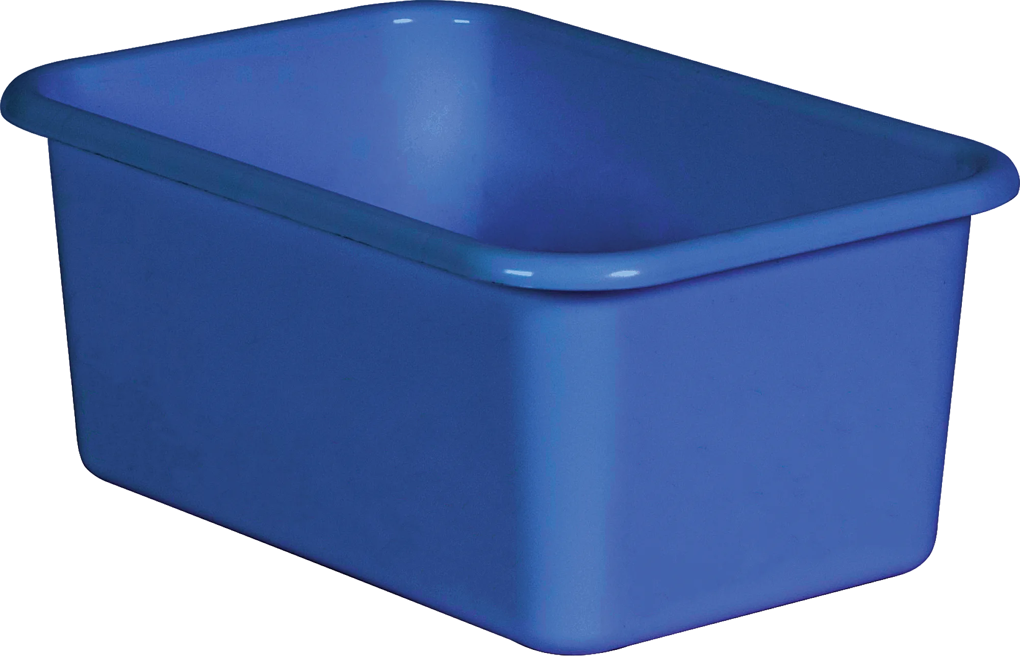 Blue Small Plastic Storage Bin