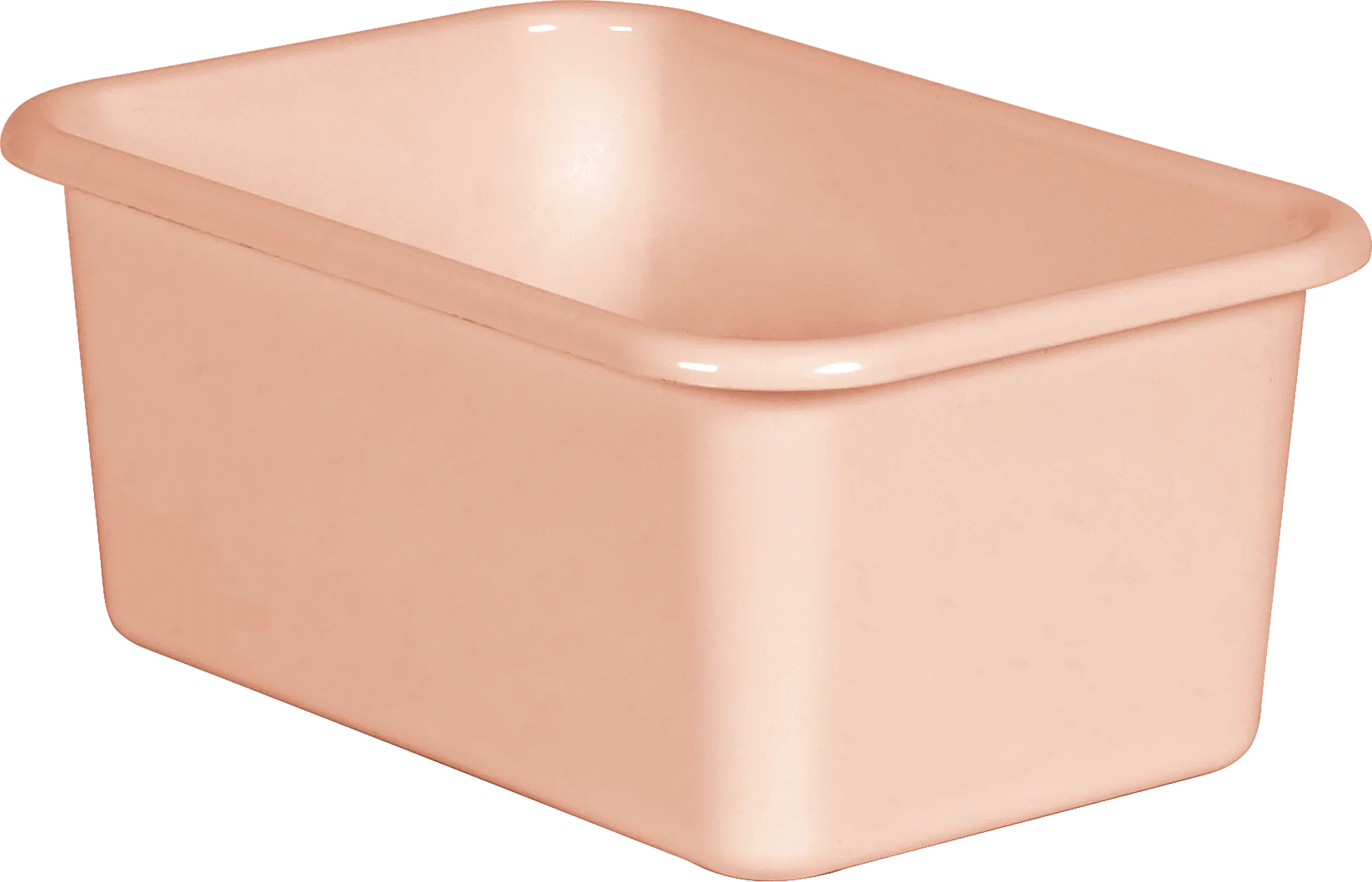 Blush Small Plastic Storage Bin