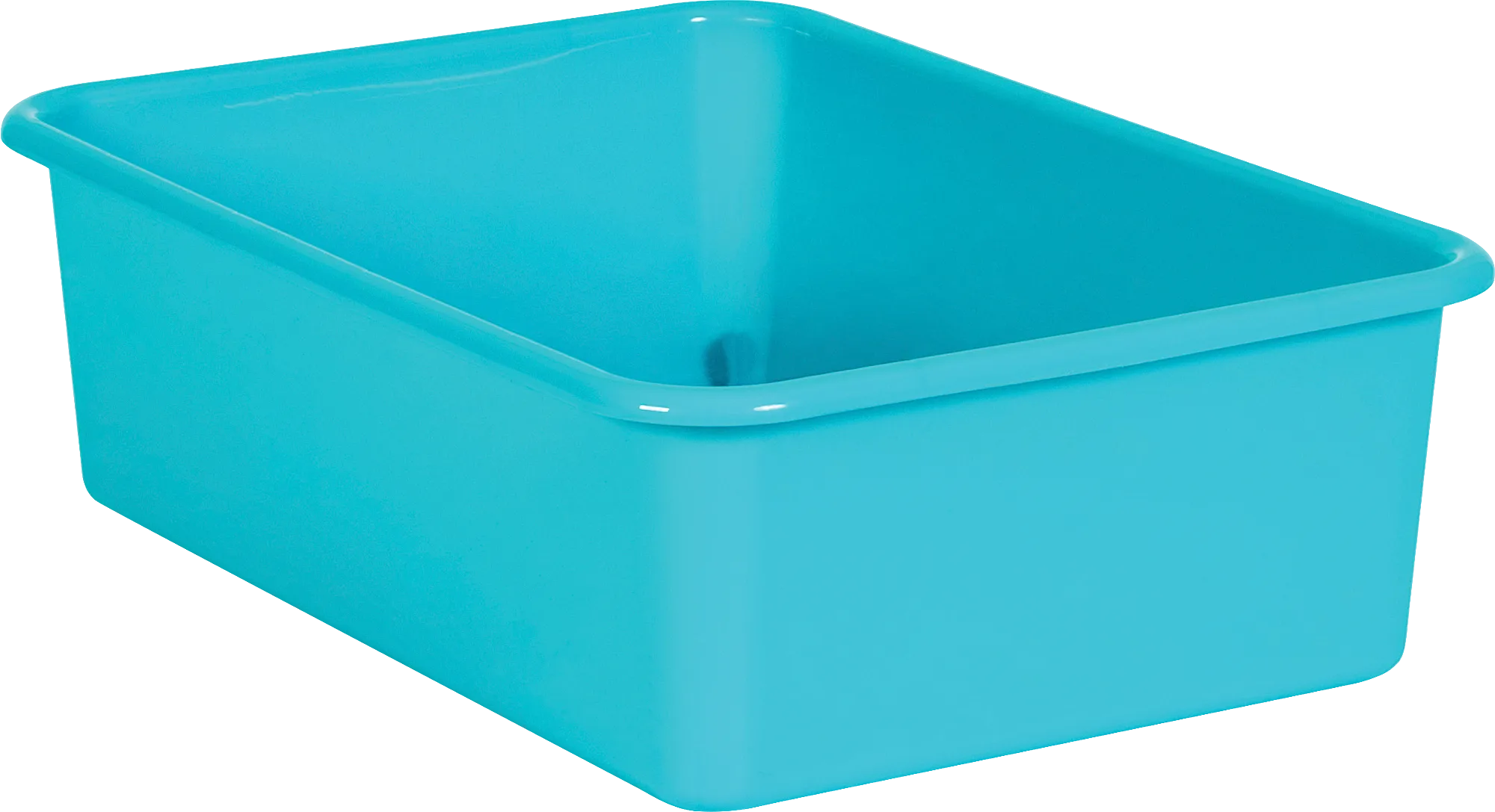 Teal Large Plastic Storage Bin