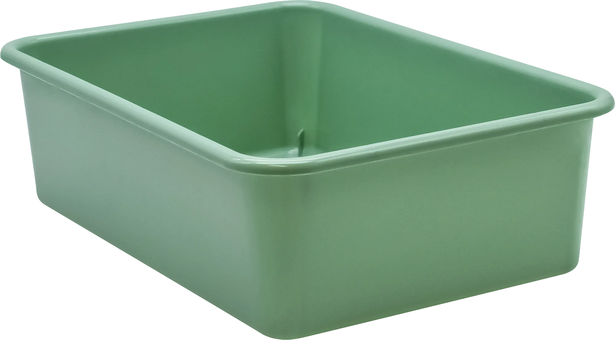 Eucalyptus Green Large Plastic Storage Bin