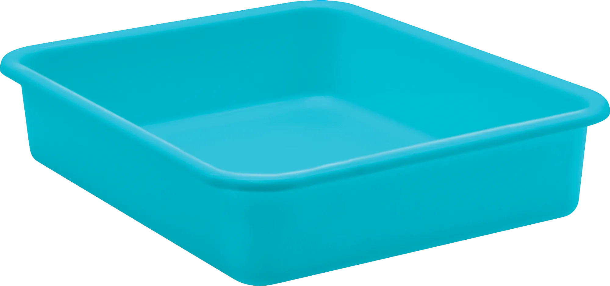 Teal Large Plastic Letter Tray