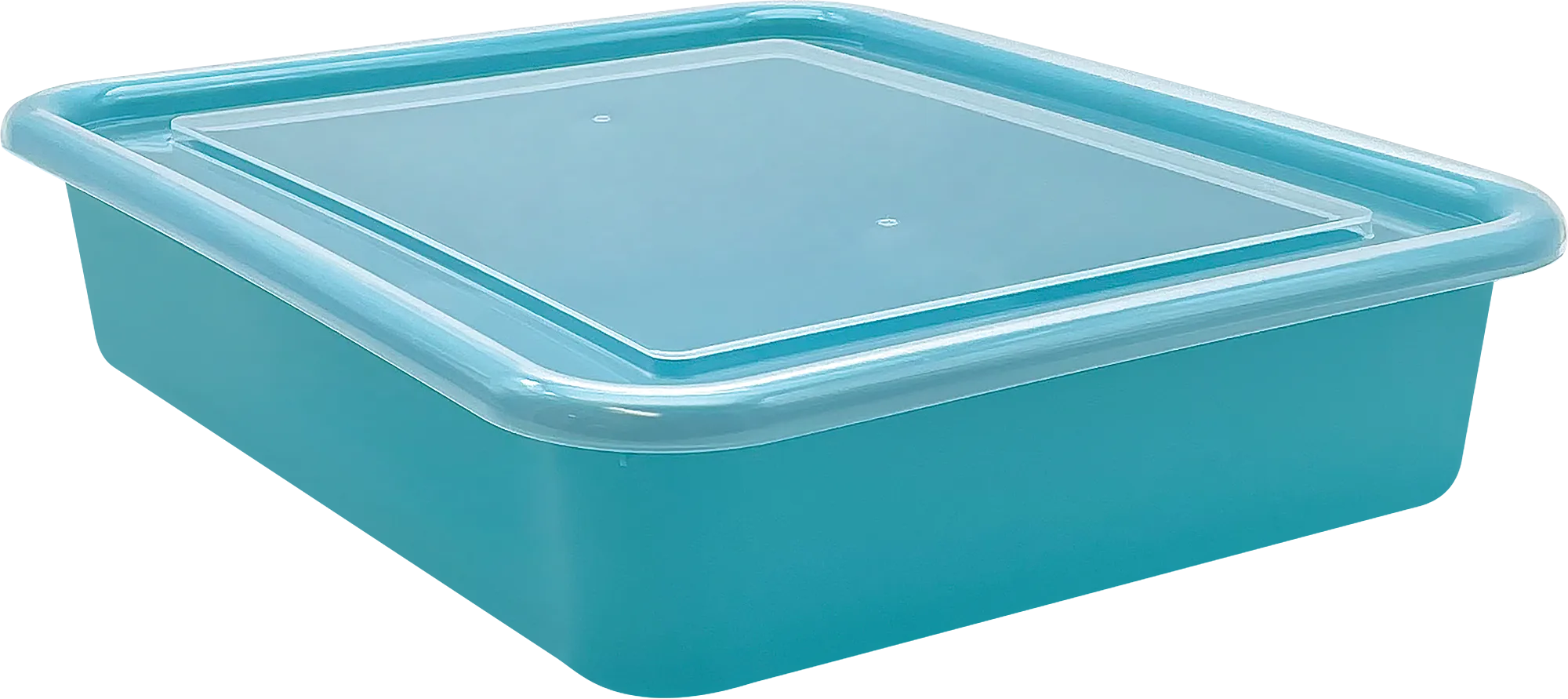 Plastic Letter Tray Lid - Image 2