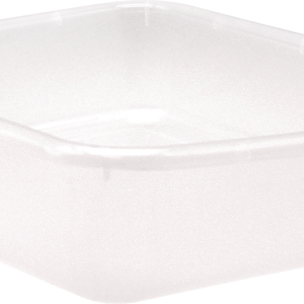 Clear Large Plastic Letter Tray