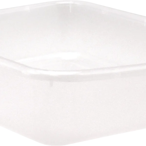 Clear Large Plastic Letter Tray