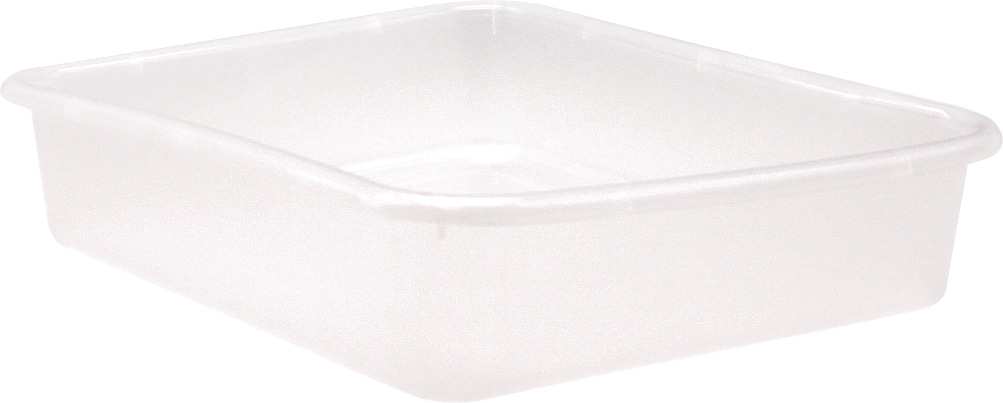 Clear Large Plastic Letter Tray