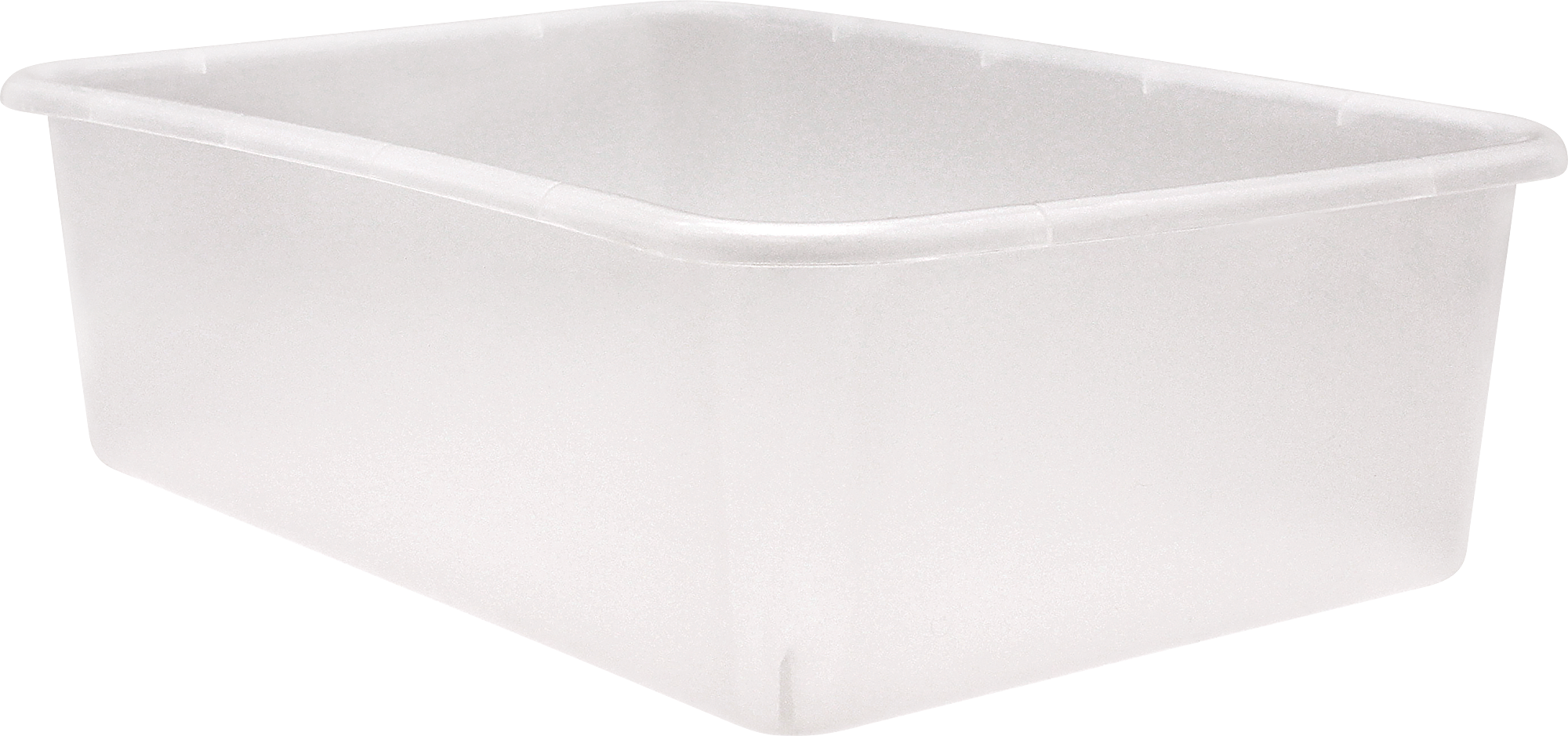 Clear Large Plastic Storage Bin