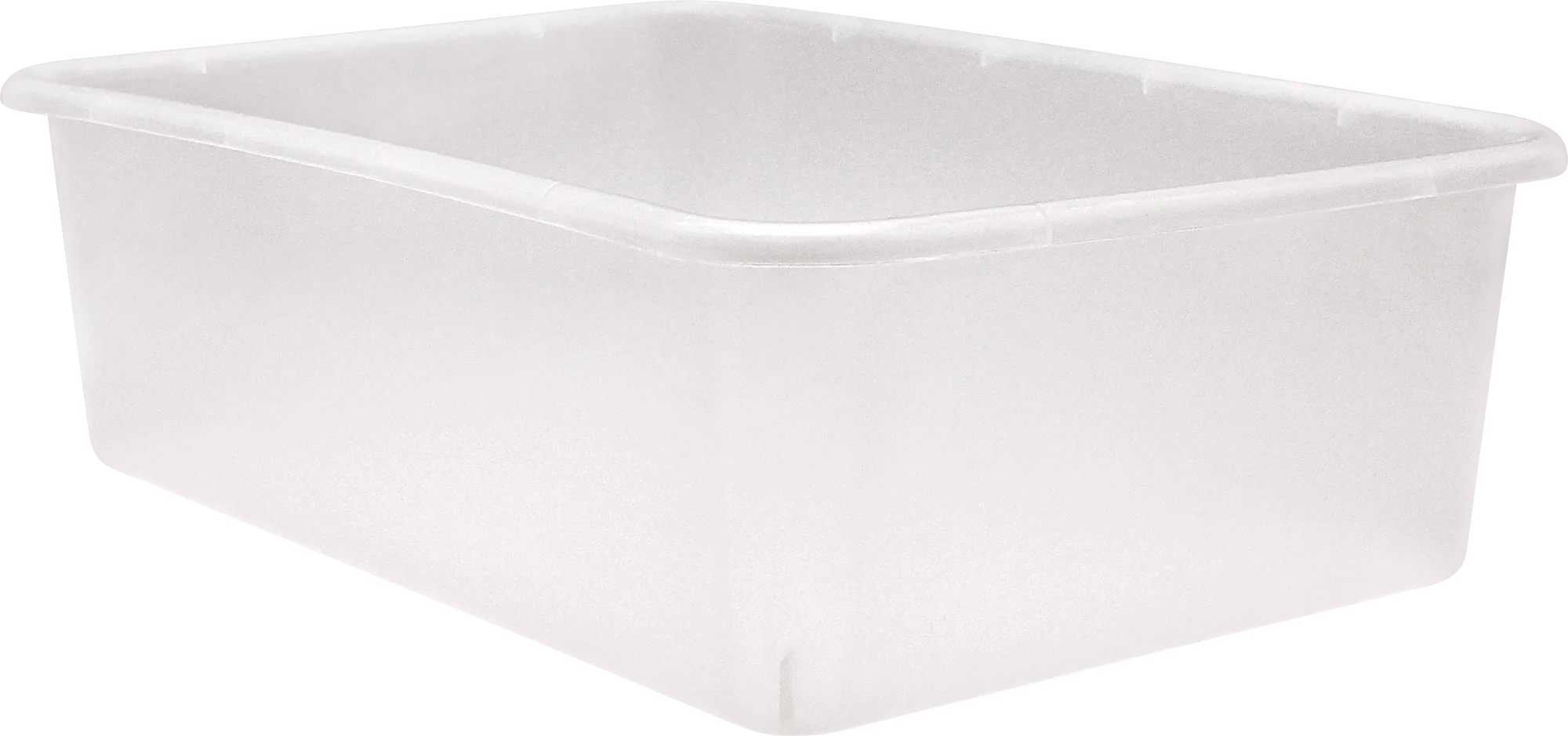Clear Large Plastic Storage Bin