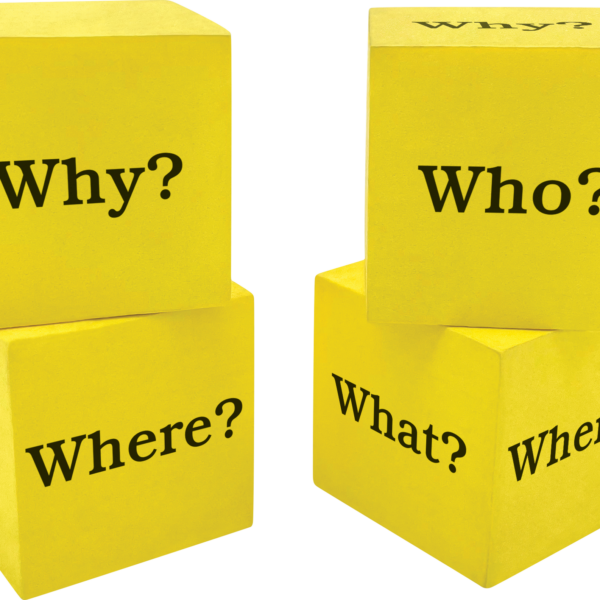 Foam Question Cubes