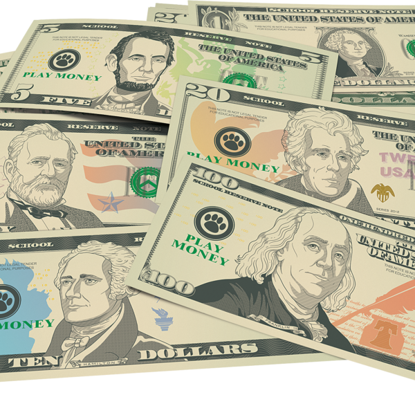 Play Money: Assorted Bills
