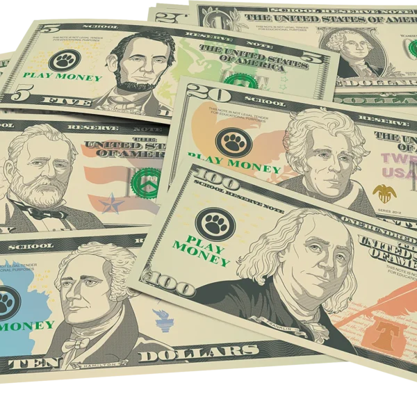 Play Money: Assorted Bills