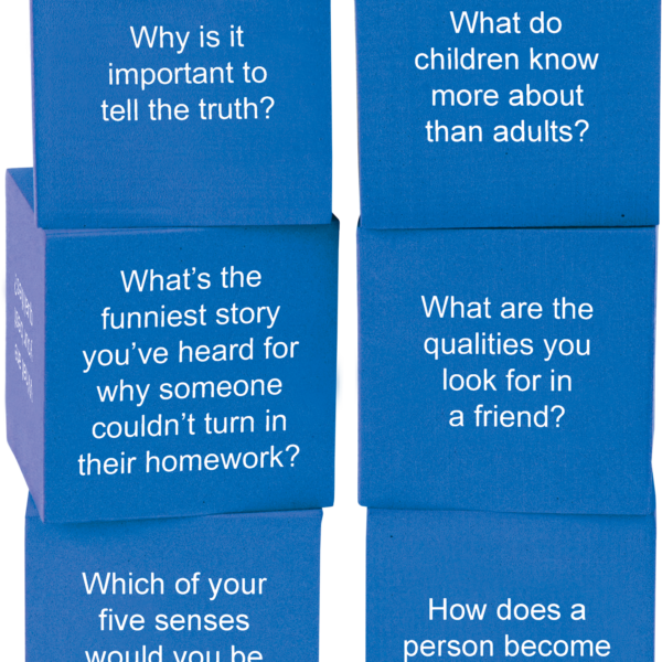 Foam Life Question Cubes