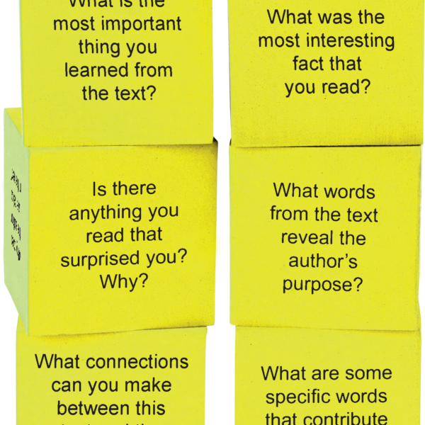 Foam Nonfiction Comprehension Cubes