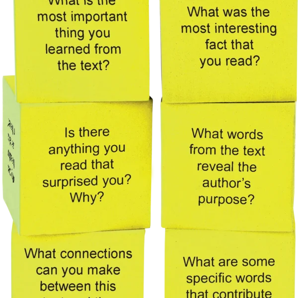 Foam Nonfiction Comprehension Cubes