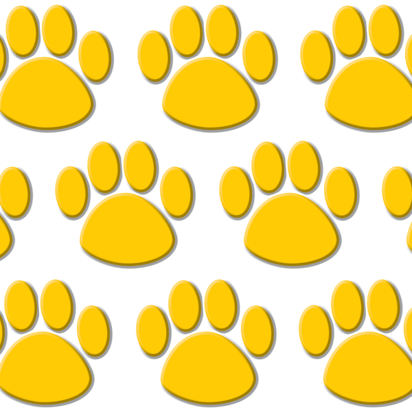 Gold Paw Prints Accents
