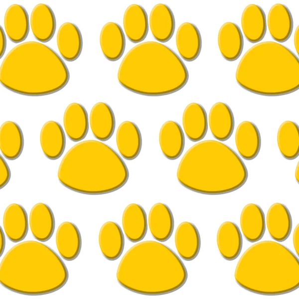 Gold Paw Prints Accents