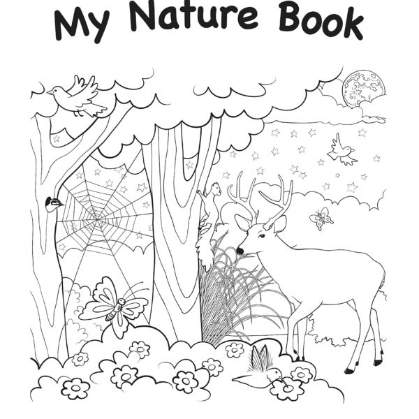 My Own Books: My Nature Bo