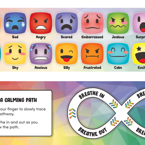 Social-Emotional Mood Meters