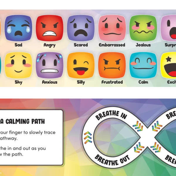 Social-Emotional Mood Meters
