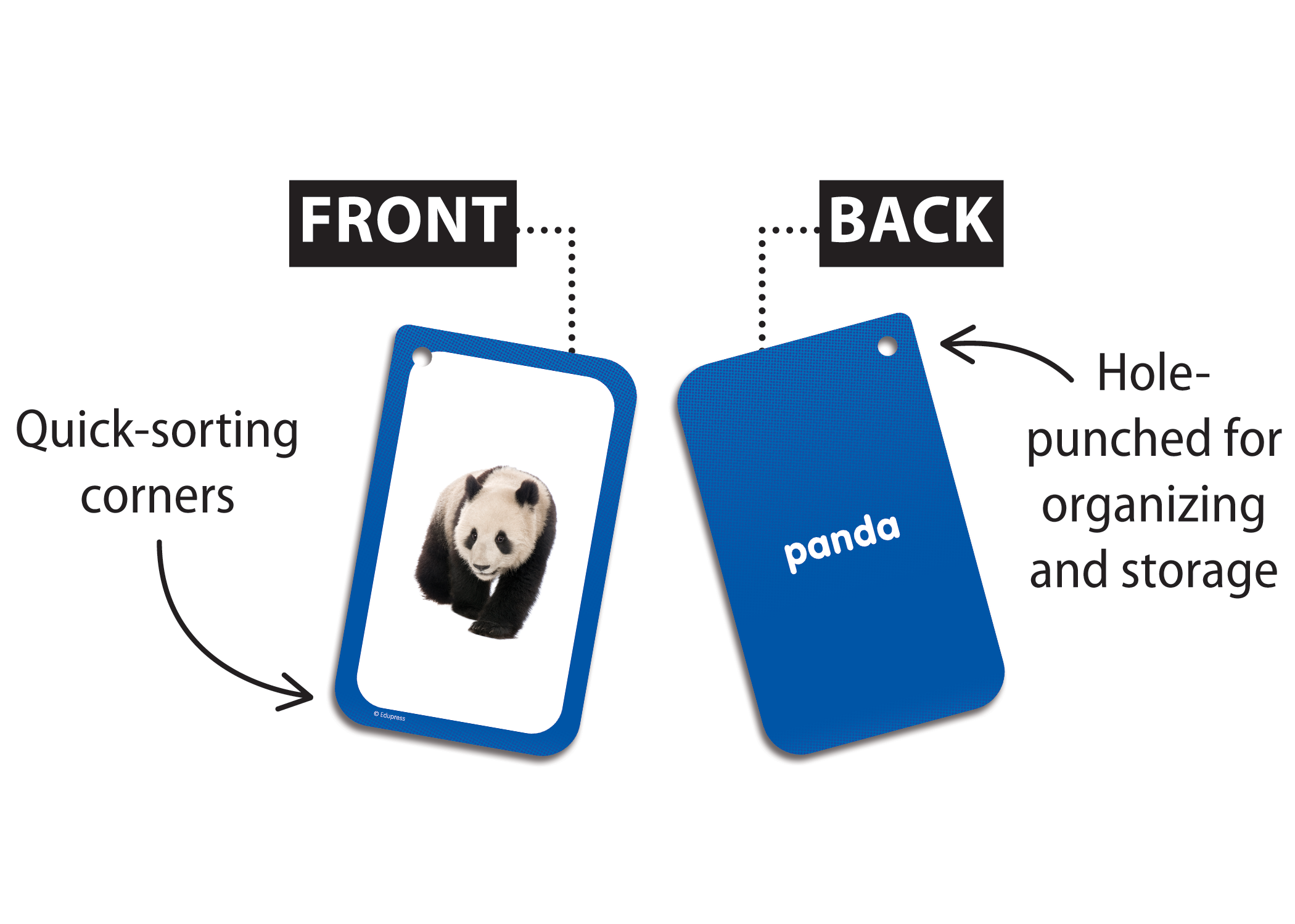 Categories Flash Cards - Image 2