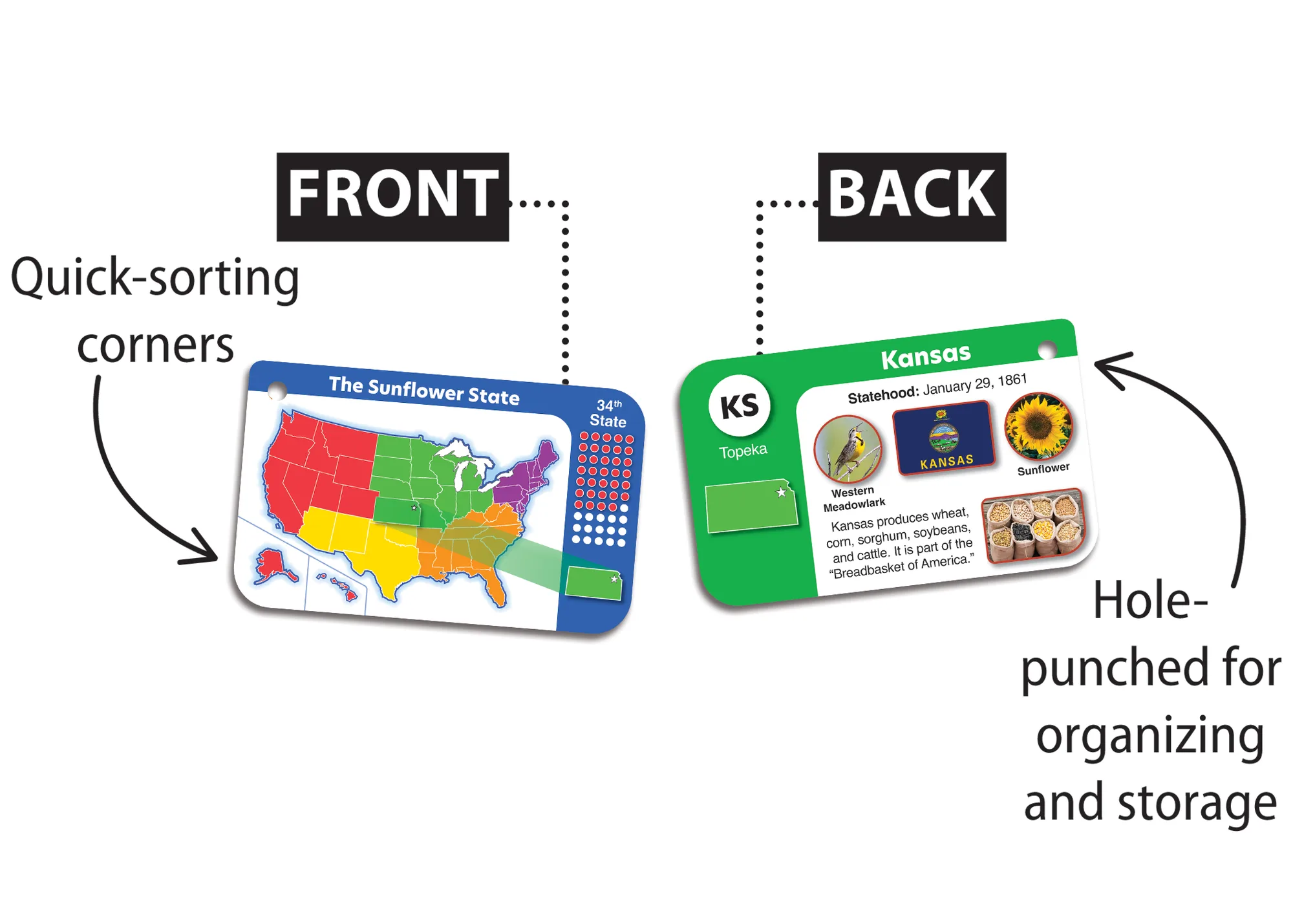 US States Flash Cards - Image 2