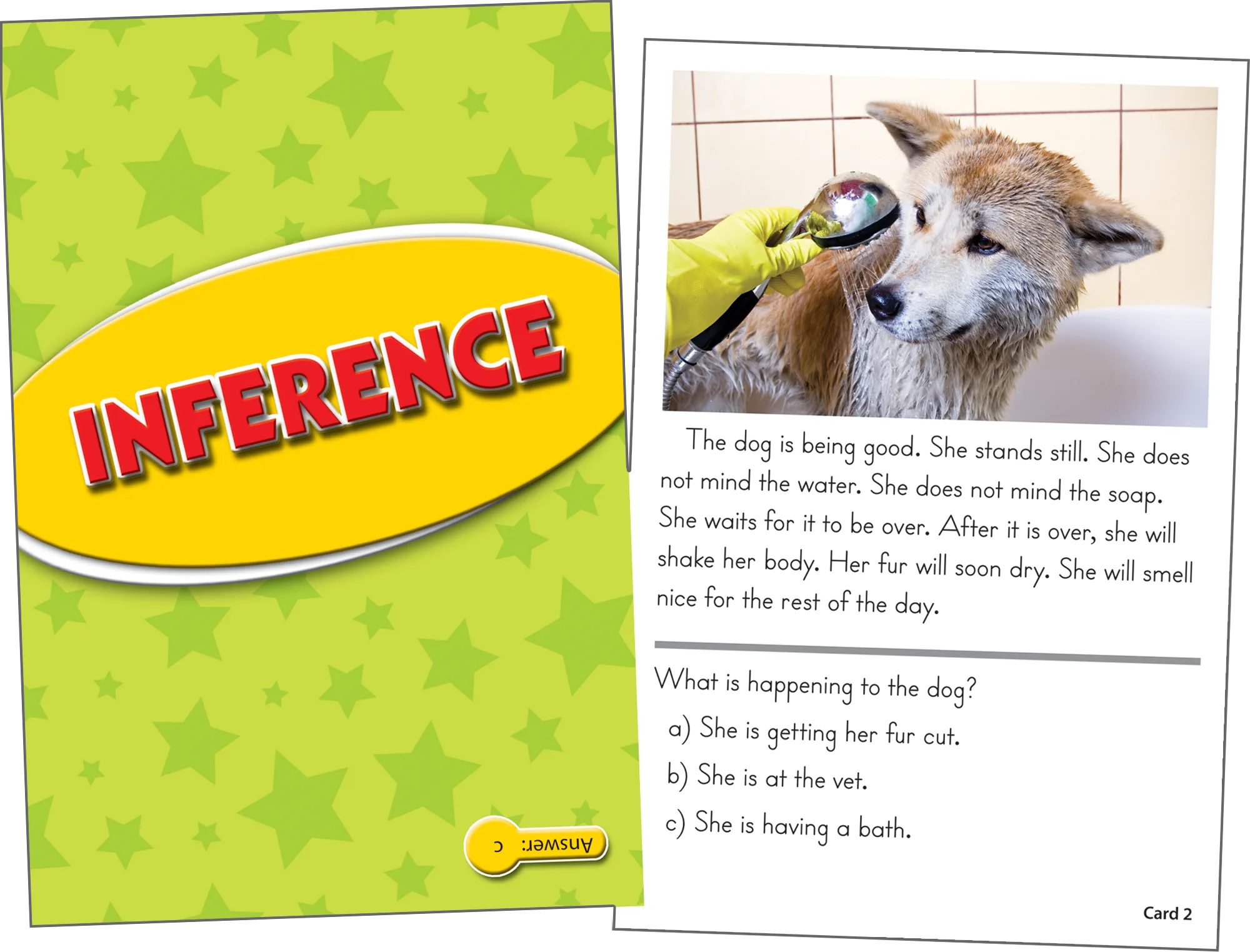 Reading Comprehension Practice Cards: Inference (Yellow Level) - Image 2