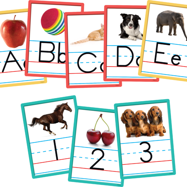 Alphabet and Numbers Accents