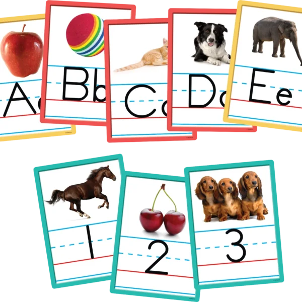Alphabet and Numbers Accents
