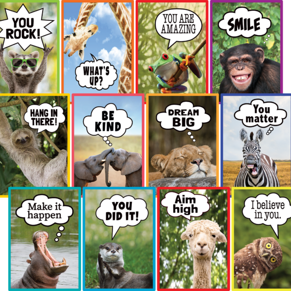 Go Wild Animals Small Poster Pack