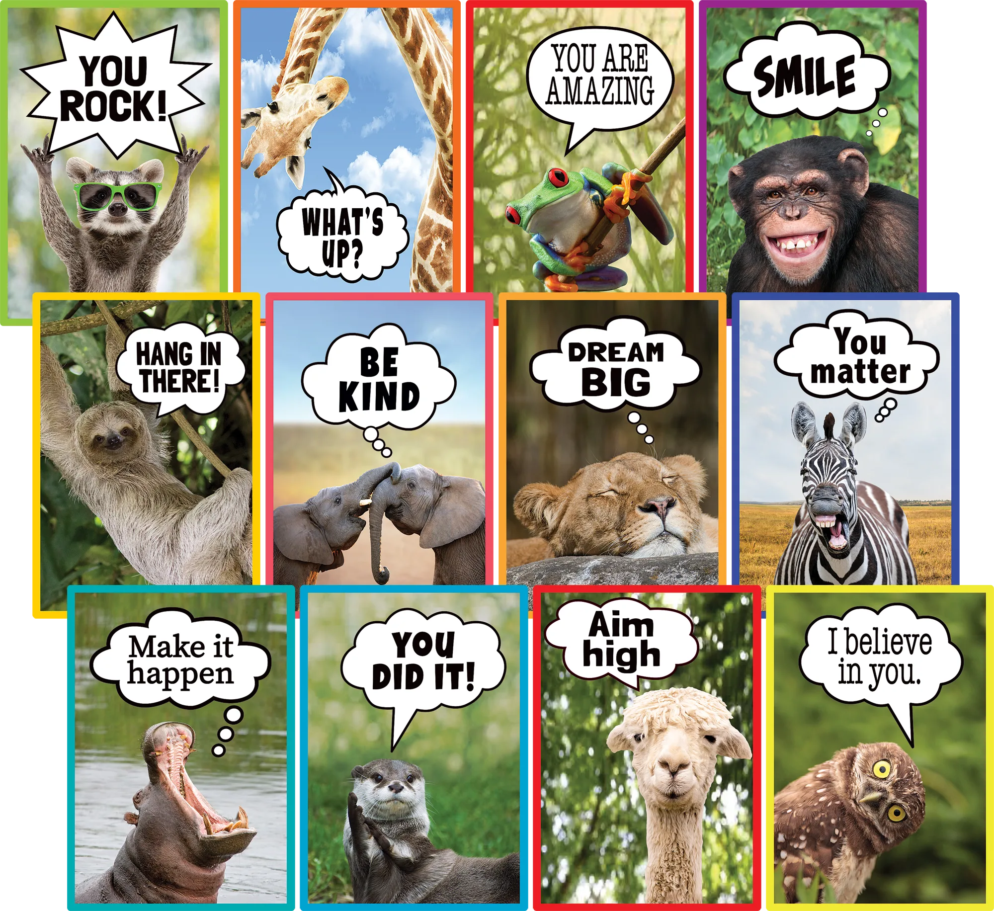 Go Wild Animals Small Poster Pack