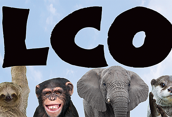 Go Wild Animals Welcome Banner