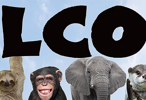 Go Wild Animals Welcome Banner