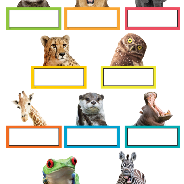 Go Wild Animals Accents
