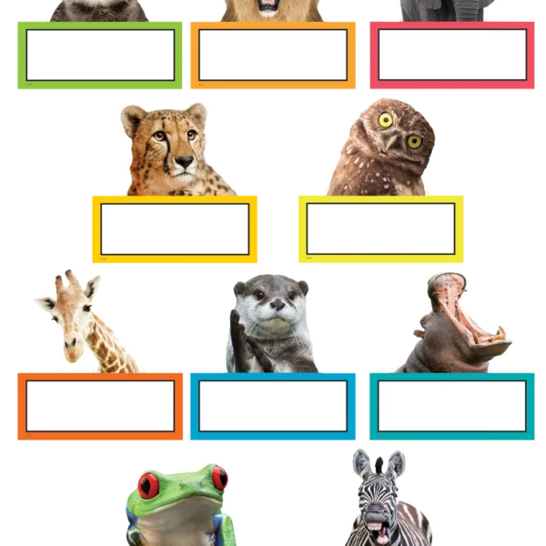 Go Wild Animals Accents