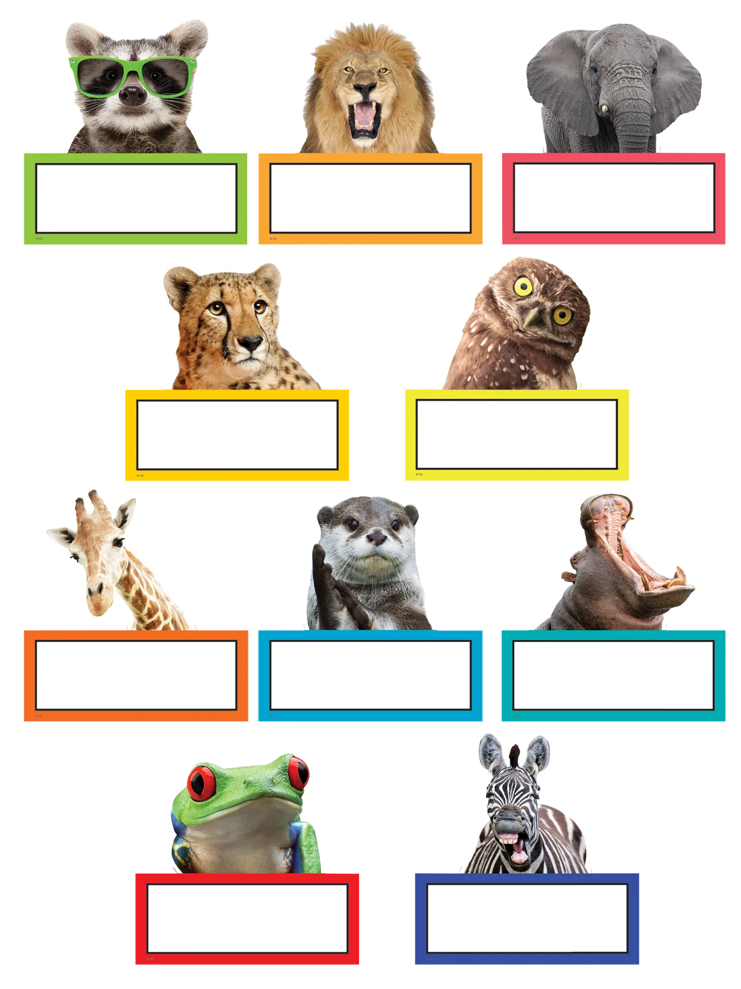 Go Wild Animals Accents