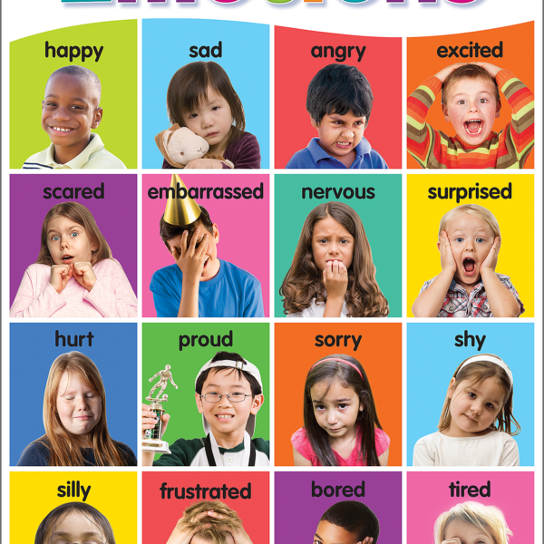 Colorful Emotions Chart