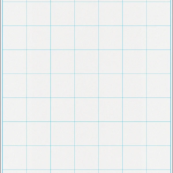 Graphing Grid Large Squares Write-On/Wipe-Off Chart