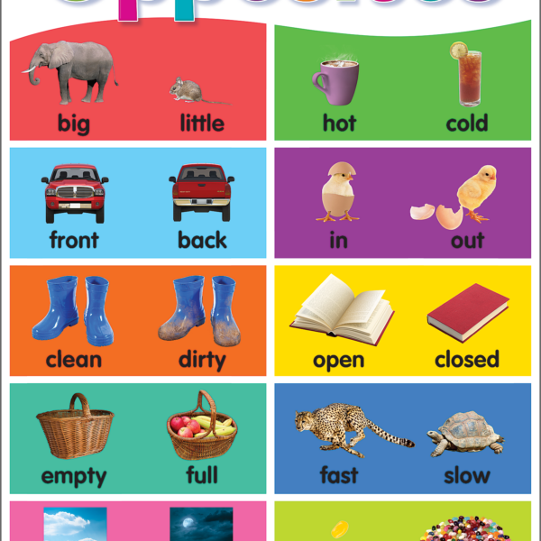 Colorful Opposites Chart