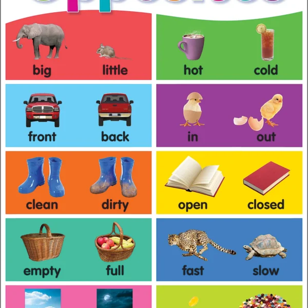 Colorful Opposites Chart