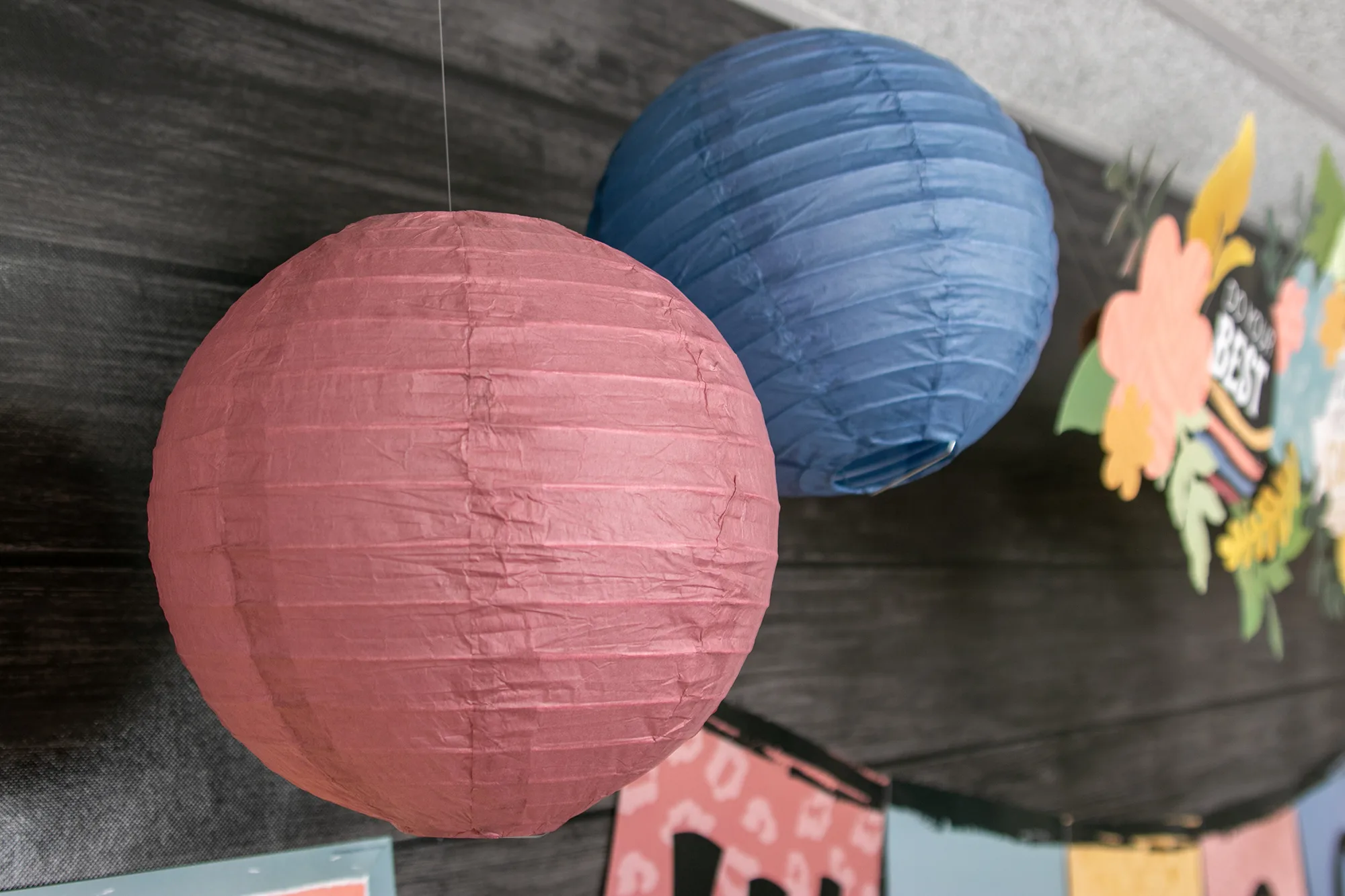 Wonderfully Wild 8" Hanging Paper Lanterns - Image 2