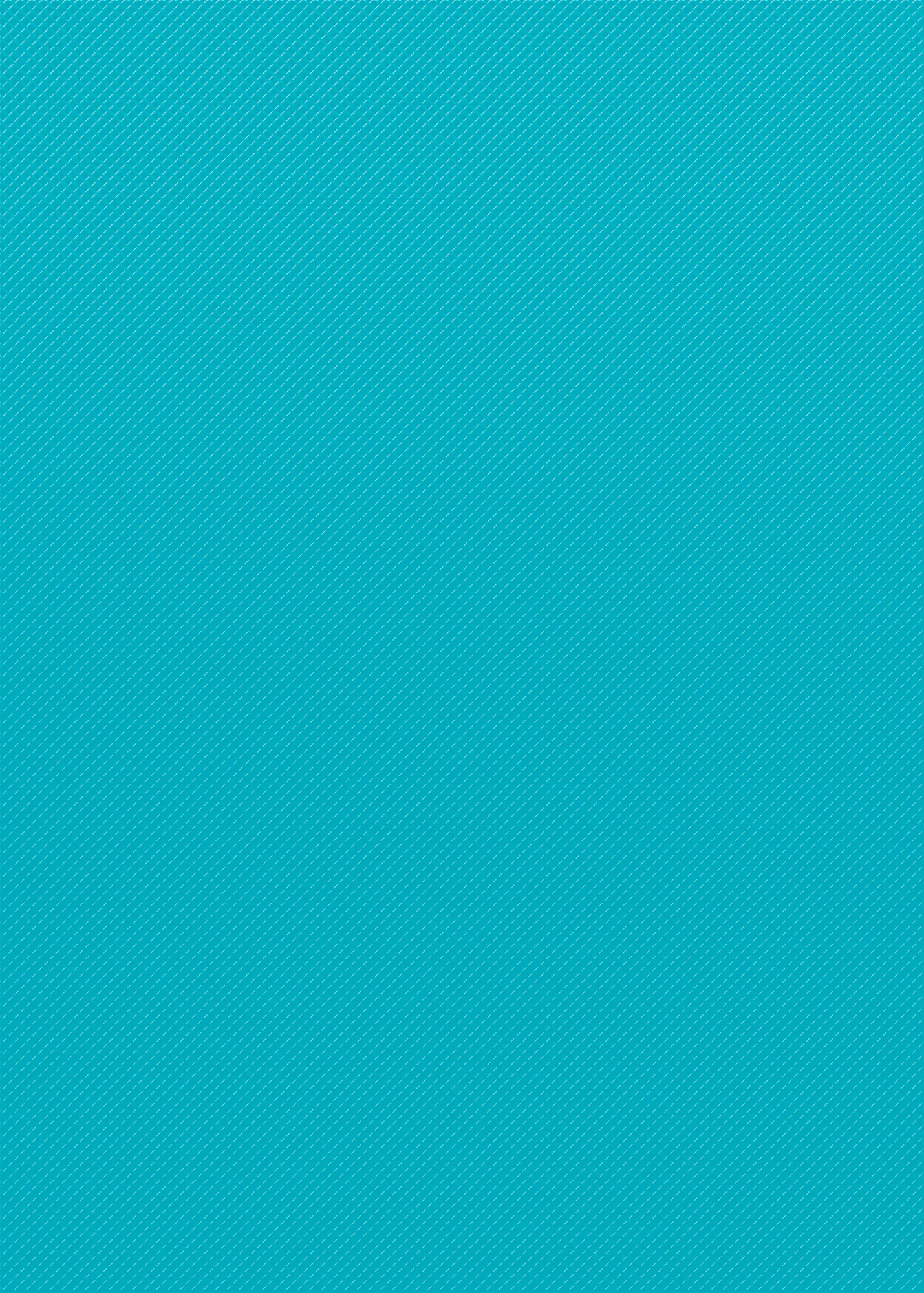 Teal Better Than Paper Bulletin Board Rol - Image 2