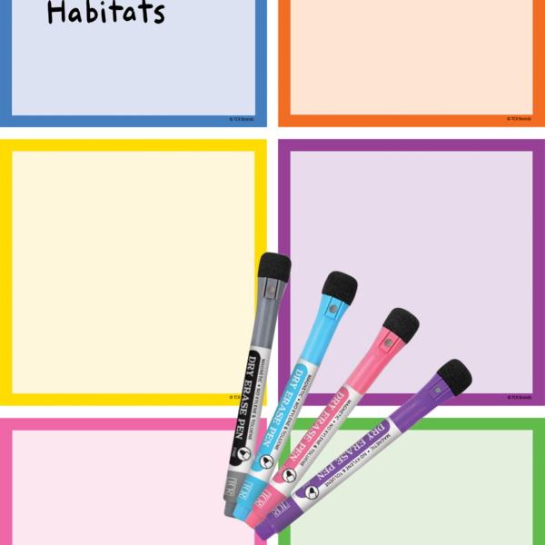 Colorful Dry-Erase Magnetic Square Notes