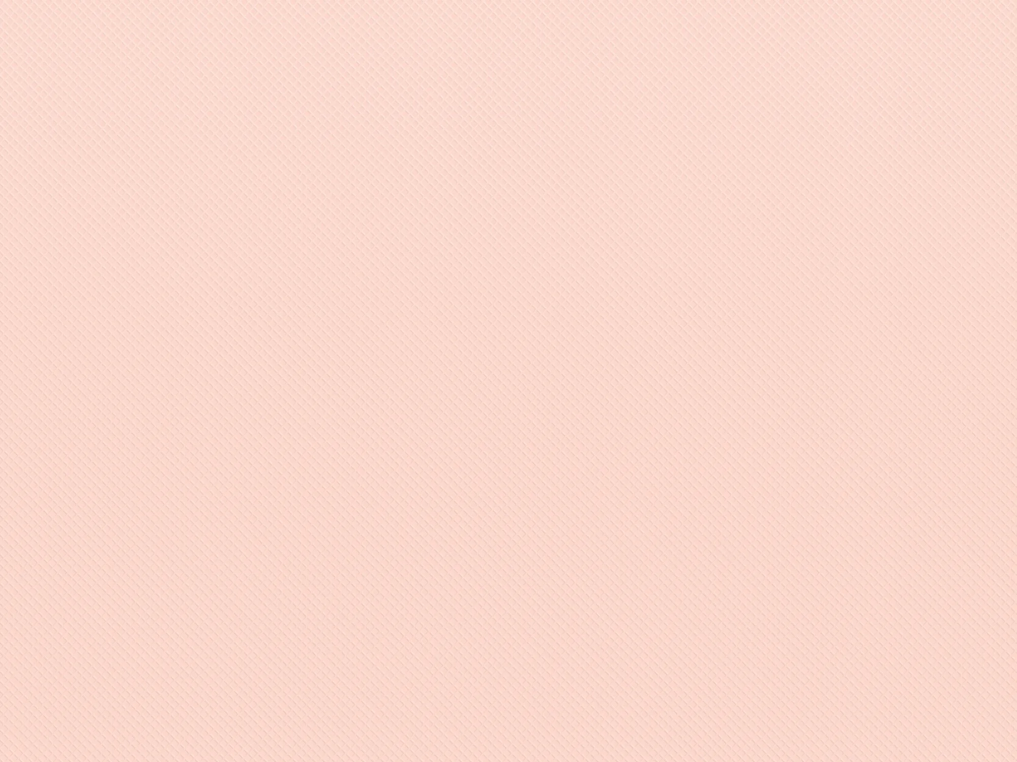 Fun Size Blush Better Than Paper Bulletin Board Rol - Image 2