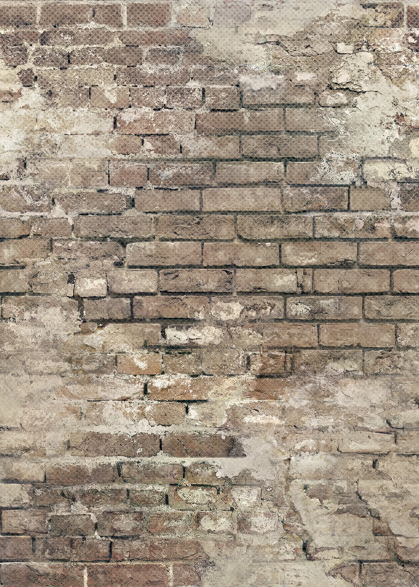 Brick and Plaster Better Than Paper Bulletin Board Rol - Image 2