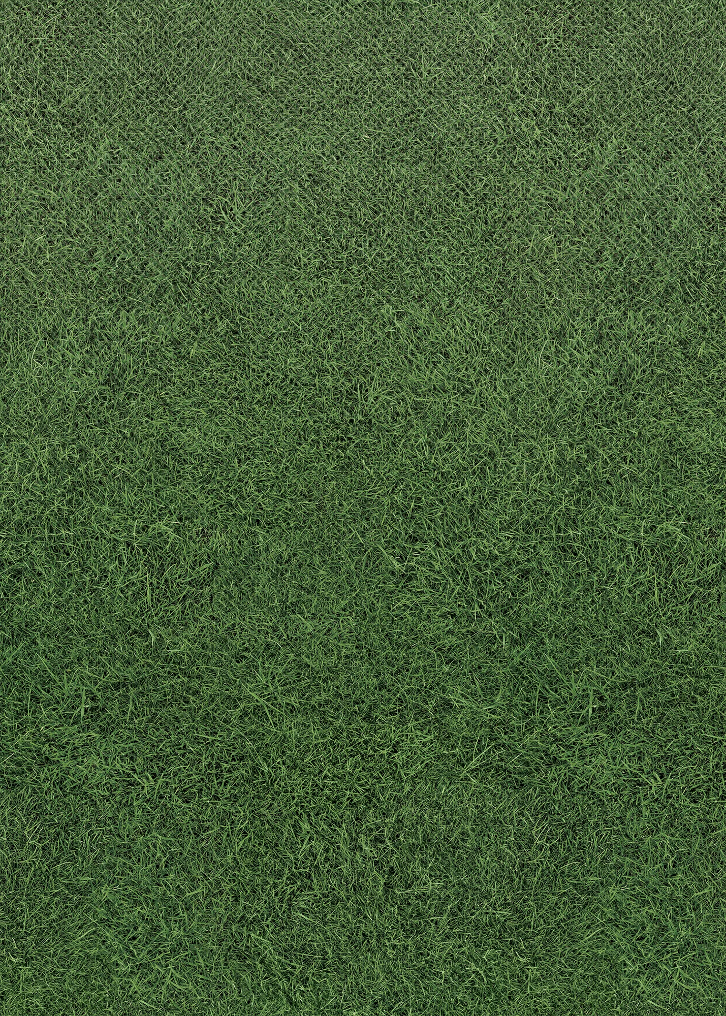 Grass Better Than Paper Bulletin Board Rol - Image 2