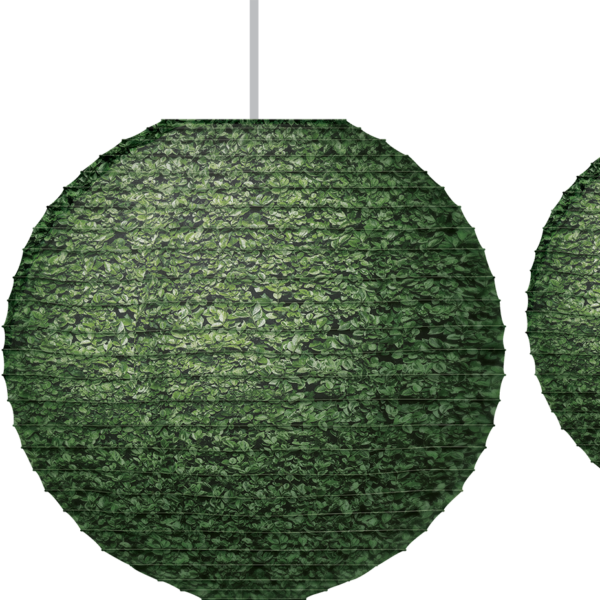 Boxwood Hanging Paper Lanterns