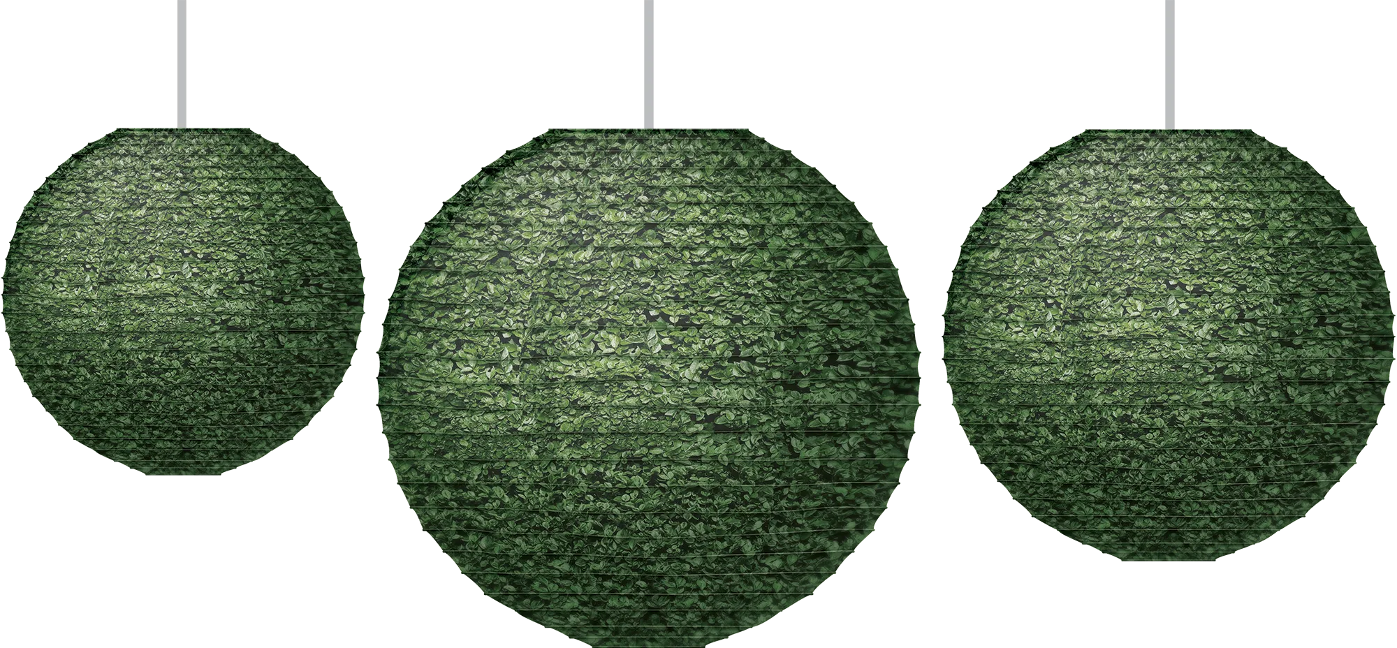 Boxwood Hanging Paper Lanterns