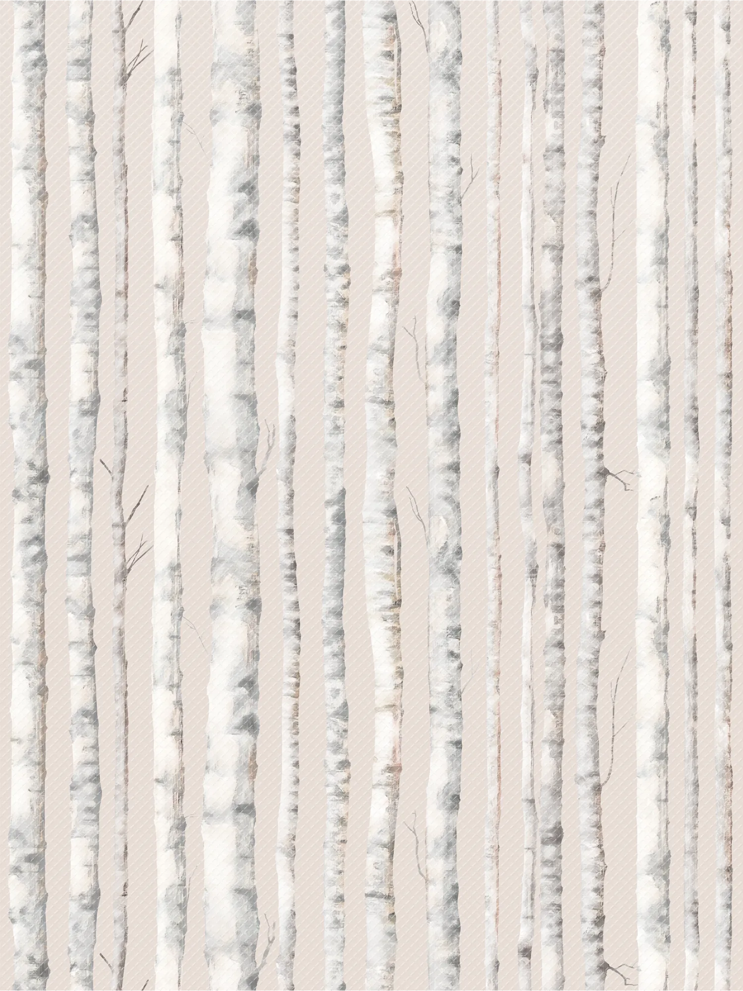Birch Trees Better Than Paper Bulletin Board Rol - Image 2