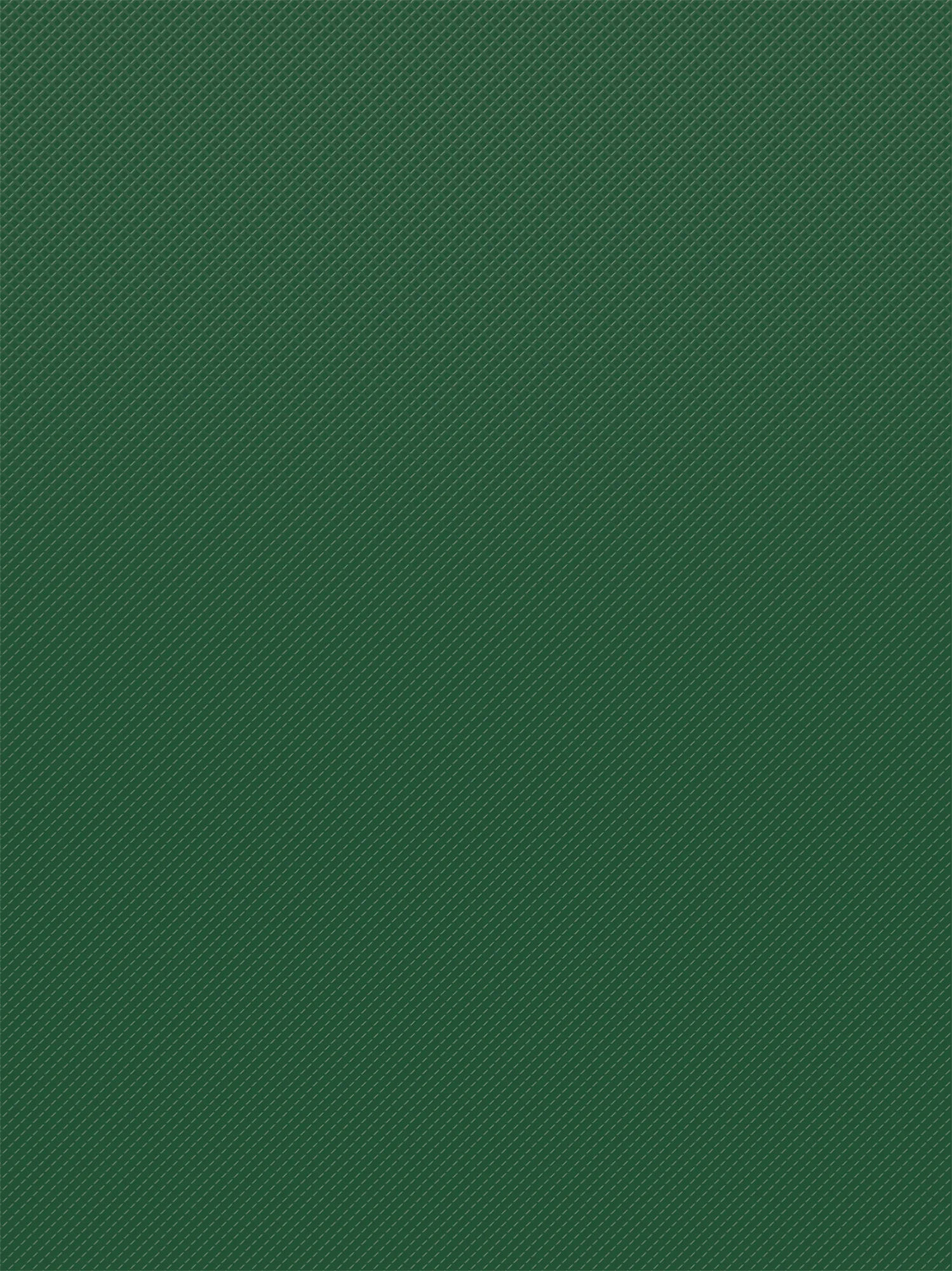 Pine Green Better Than Paper Bulletin Board Rol - Image 2